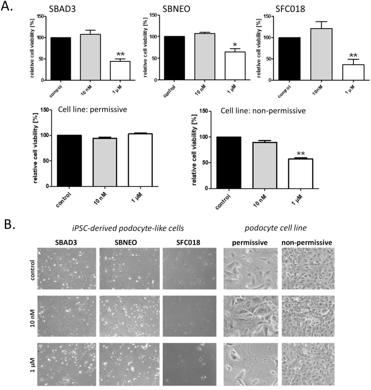 Fig 8