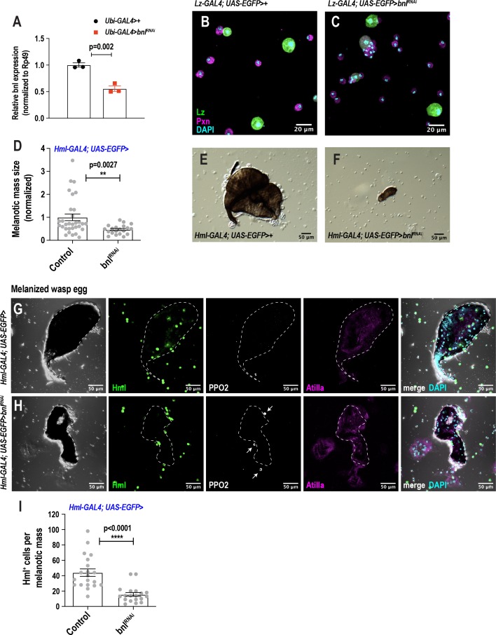 Figure 6—figure supplement 2.