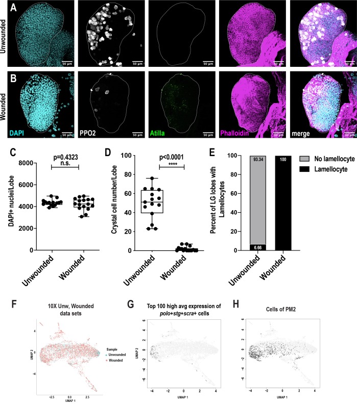 Figure 3—figure supplement 1.