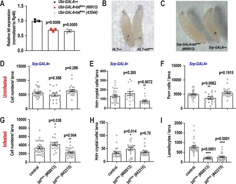 Figure 6—figure supplement 3.