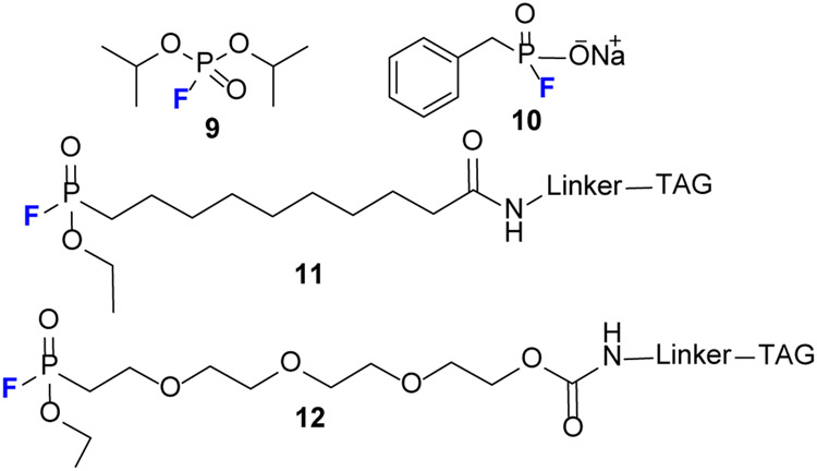 Figure 8.