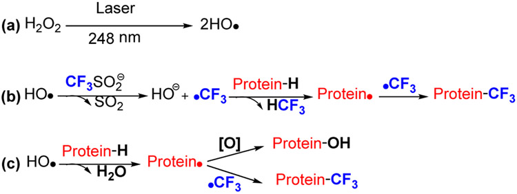 Figure 11.