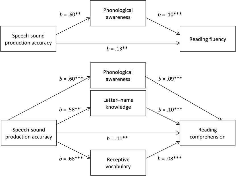 2 block diagrams. The first block diagram illustrates the parameters relating Speech sound production accuracy to Reading fluency. The block on the left is labeled Speech sound production accuracy. The block on the right is labeled Reading Fluency. The block at the top center is labeled Phonological Awareness. An arrow from the Speech sound production accuracy block to the Reading accuracy block is marked b = 0.13, 2 asterisks. Another arrow from the Speech sound production accuracy block to the Phonological awareness block is marked b = 0.60, 2 asterisks. An arrow from the Phonological awareness block to the Reading fluency block is marked b = 0.10, 3 asterisks. The second block diagram illustrates the parameters relating Speech sound production accuracy to Reading comprehension. The block on the left is labeled Speech sound production accuracy. The block on the right is labeled Reading Comprehension. The 3 blocks in the middle are labeled Phonological awareness, Letter name knowledge, and Receptive vocabulary. An arrow from the Speech sound production accuracy block to the Reading comprehension block is marked b = 0.11, 2 asterisks. A second arrow from the Speech sound production accuracy block to the Phonological awareness block is marked b = 0.60, 3 asterisks. A third arrow from the Speech sound production accuracy block to the Letter name knowledge block is marked b = 0.58, 2 asterisks. A fourth arrow from the Speech sound production accuracy block to the Receptive vocabulary block is marked b = 0.68, 3 asterisks. An arrow from the Phonological awareness block to the Reading comprehension block is marked b = 0.09, 3 asterisks. An arrow from the Letter name knowledge block to the Reading comprehension block is marked b = 0.10, 3 asterisks. An arrow from the Receptive vocabulary block to the Reading comprehension block is marked b = 0.08, 3 asterisks.