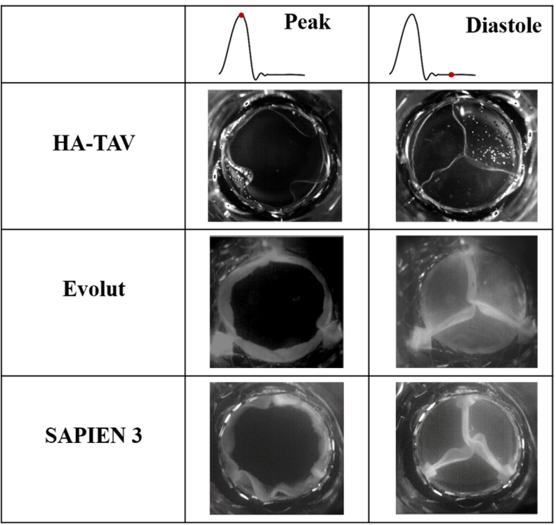 Figure 5.