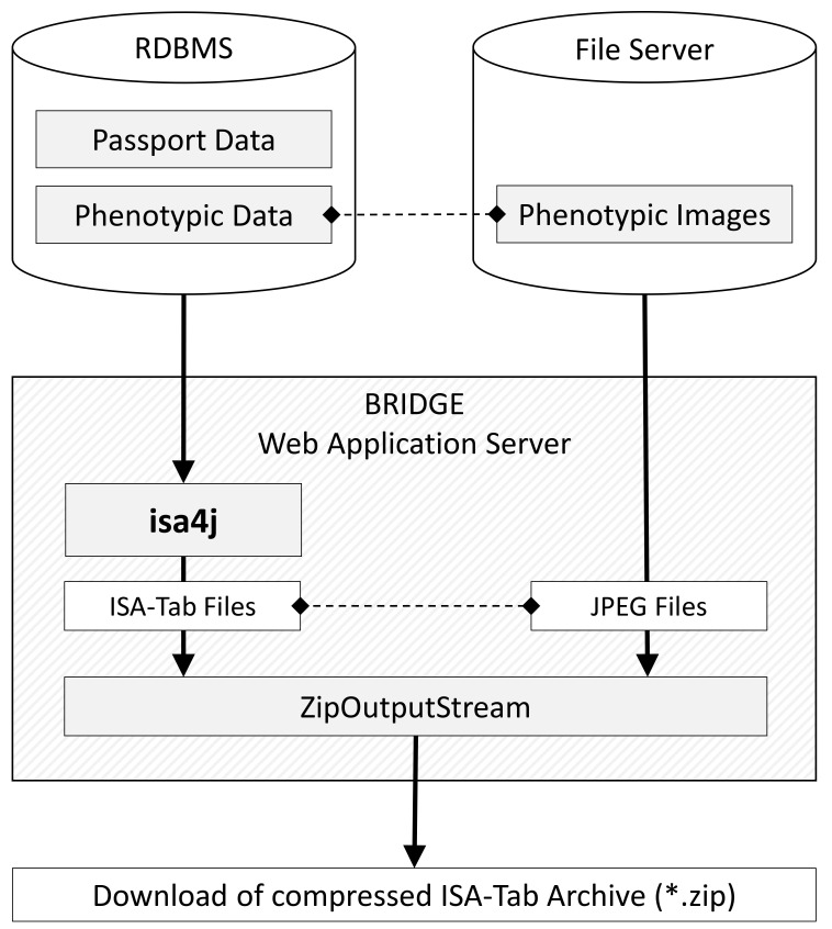 Figure 3. 