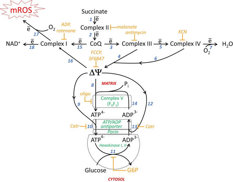 Fig. 1.