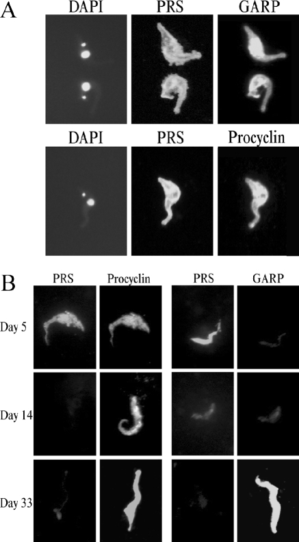 FIG. 7.