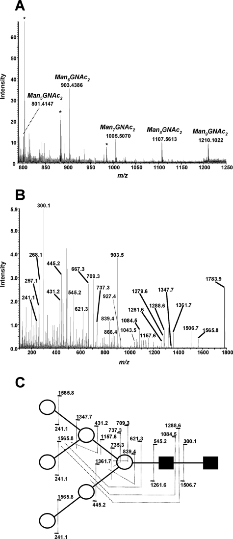 FIG. 5.