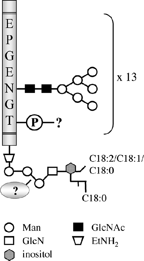 FIG. 9.