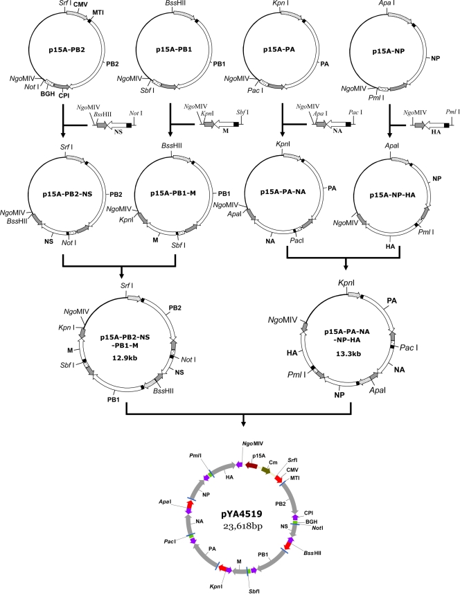 FIG. 3.