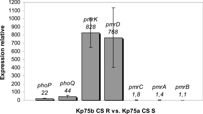 FIG 4