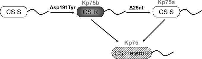 FIG 3