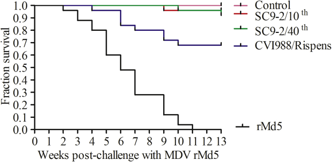 Figure 3