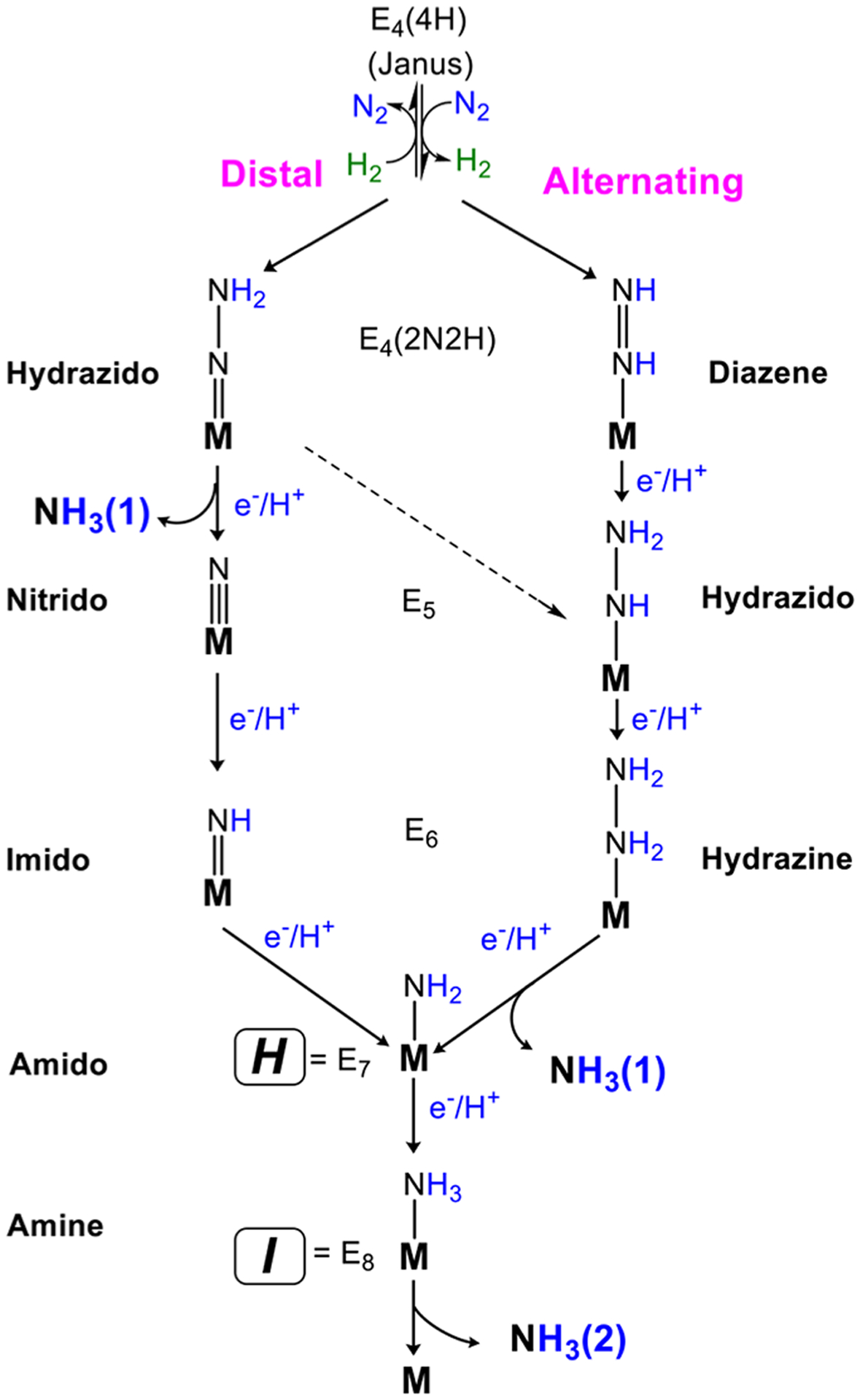 Figure 16.