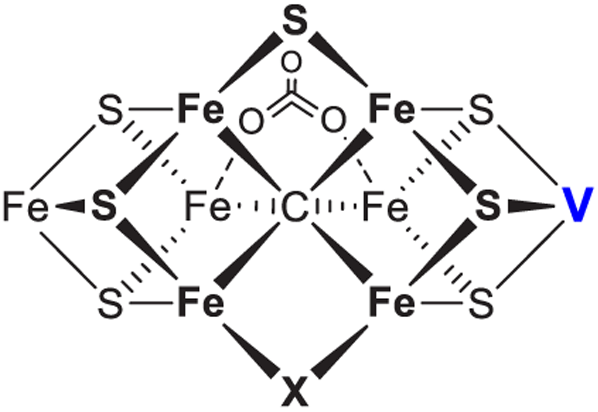 Figure 15.