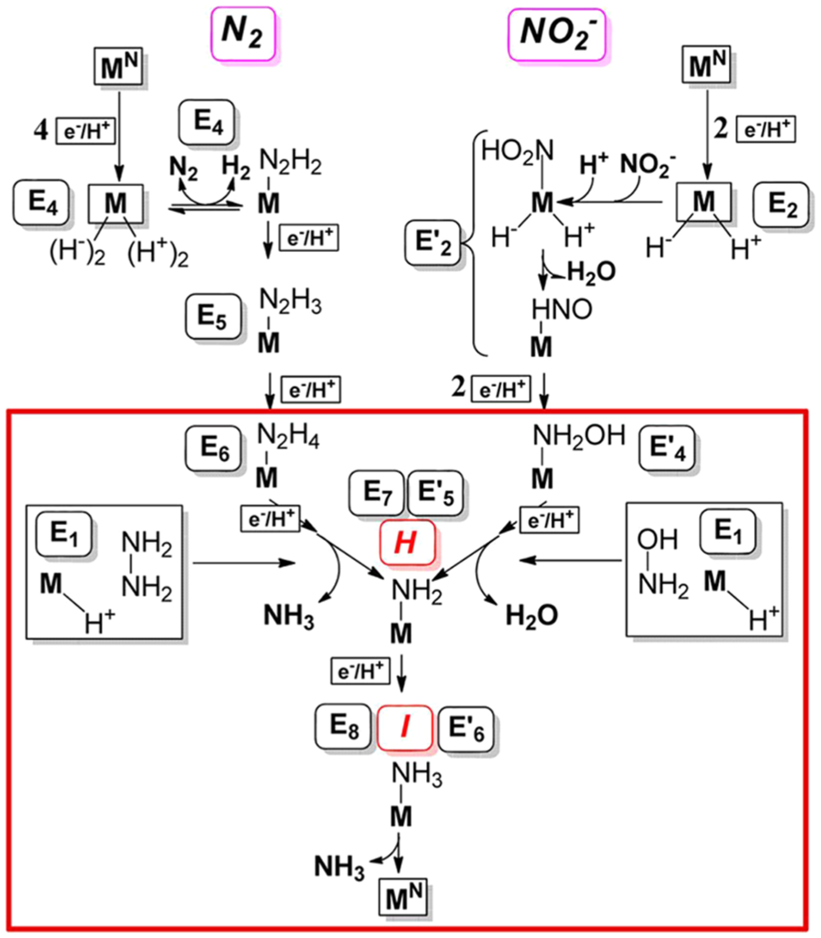 Figure 19.