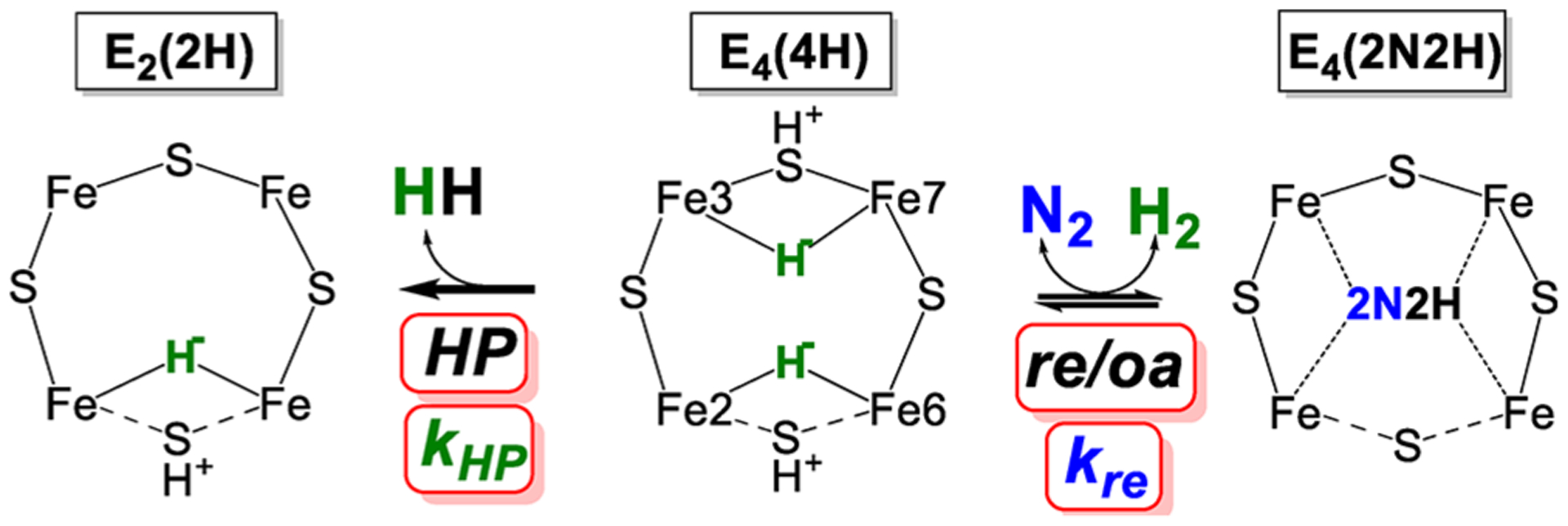 Figure 13.