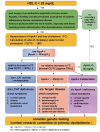 Fig.5. Differential diagnosis flow chart for hypo-HDL-cholesterolemia