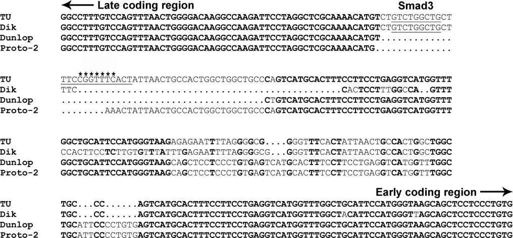 FIGURE 3