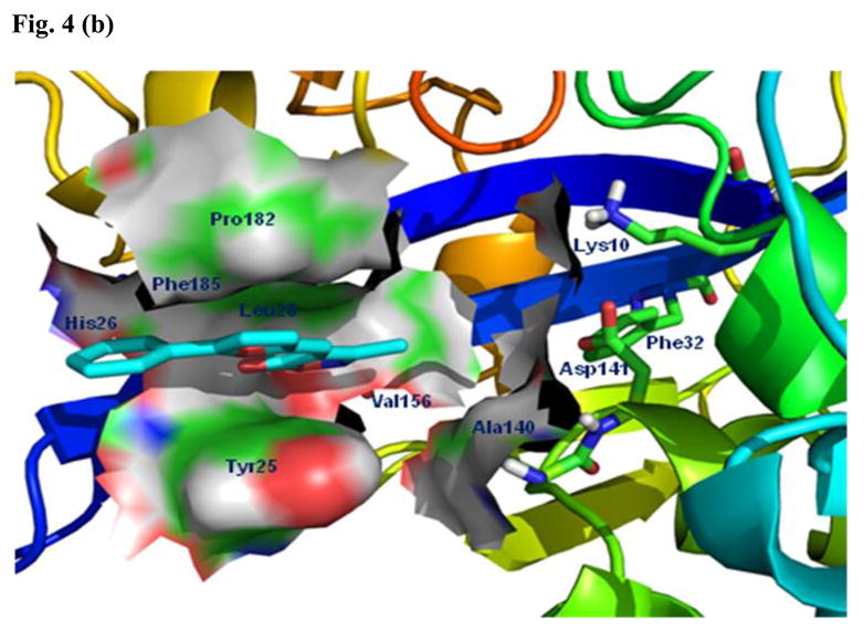 Fig. 4