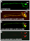 Fig. 5.