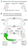 Fig. 6.