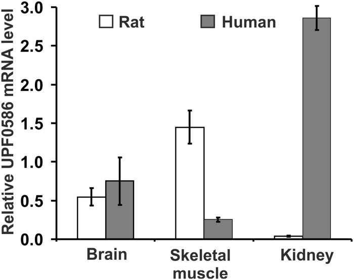 FIGURE 10.