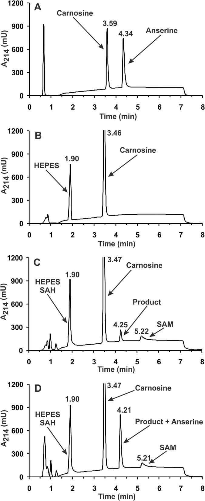 FIGURE 7.