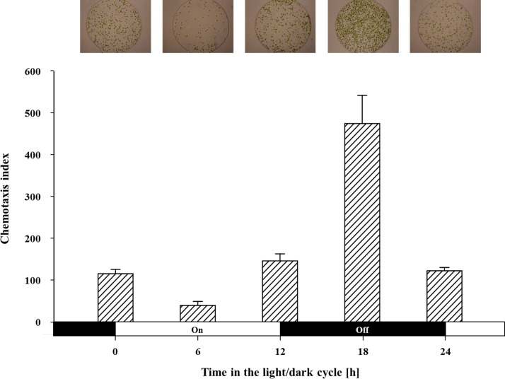 FIG. 5.