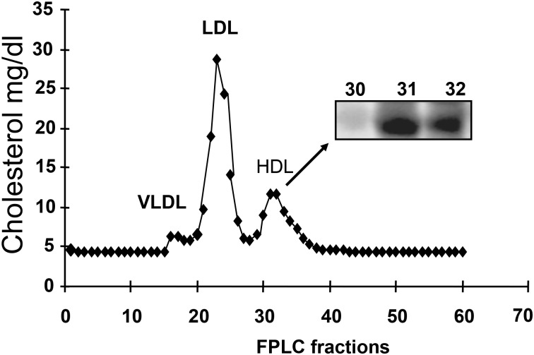 Fig 5