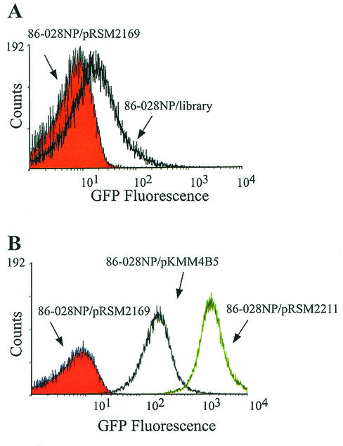 FIG. 2.