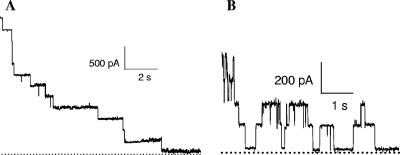 FIG. 7.