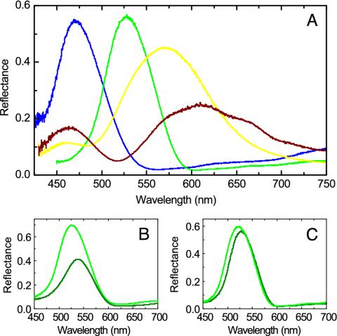 Fig. 2.