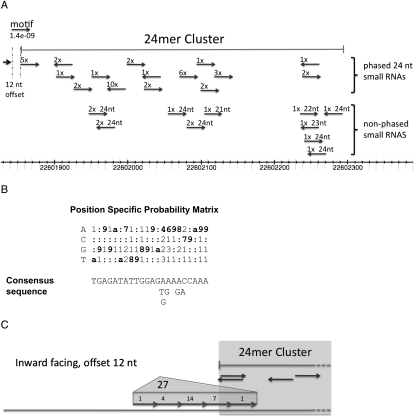 Figure 6.