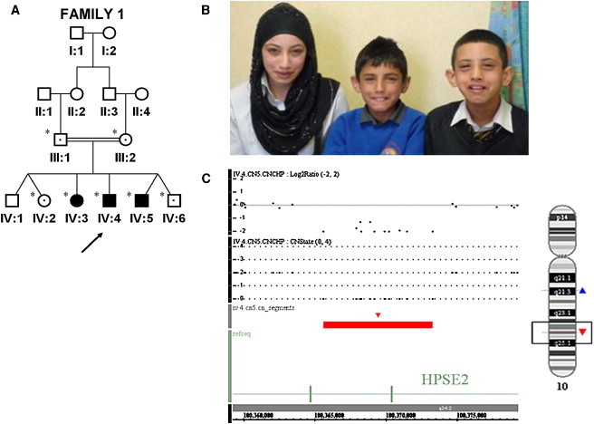 Figure 1