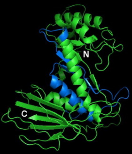 Figure 3