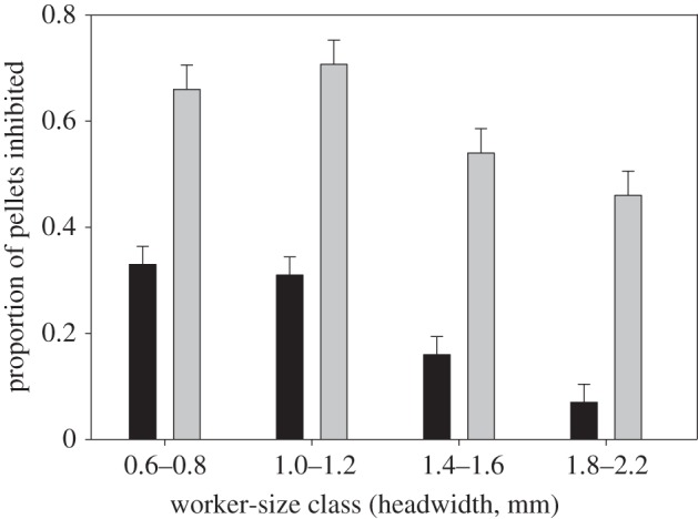 Figure 2.