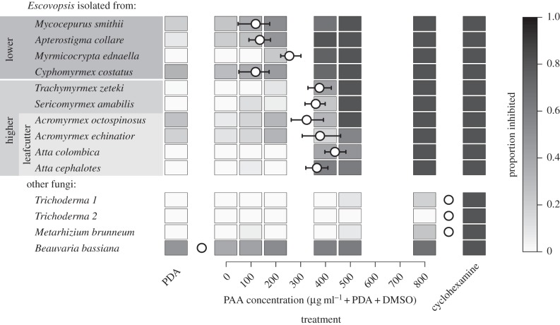 Figure 4.