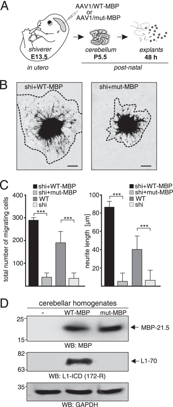 FIGURE 10.