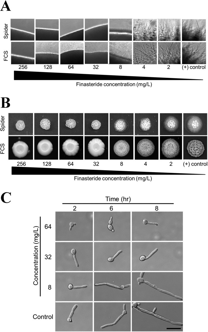 FIG 3