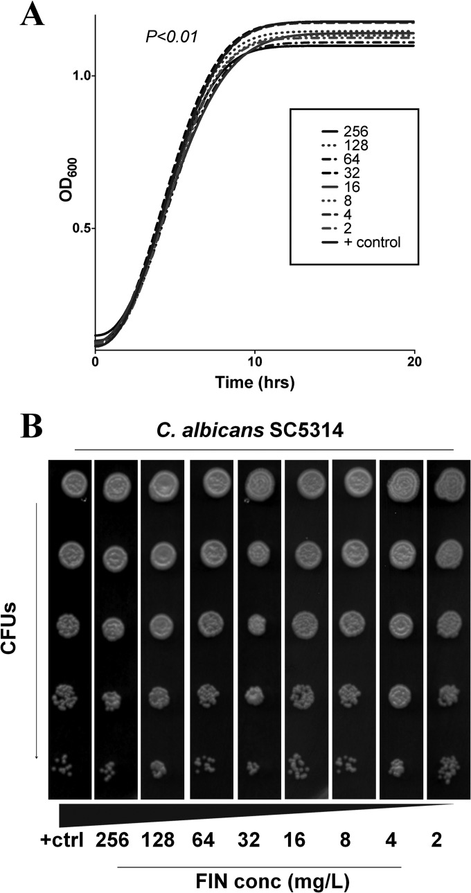 FIG 1