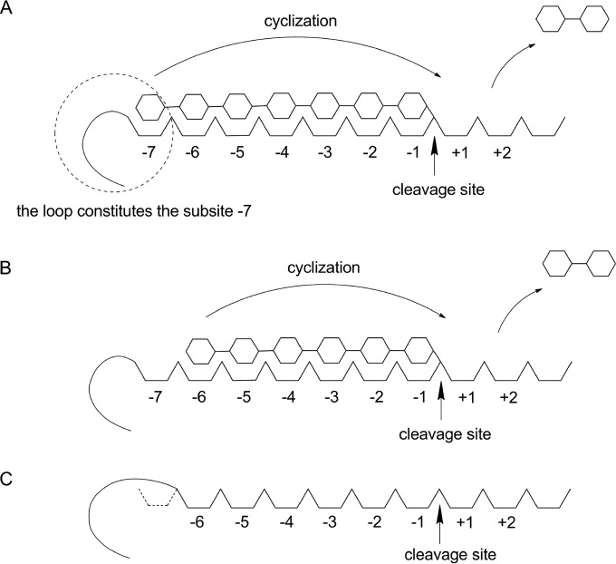 FIG 1