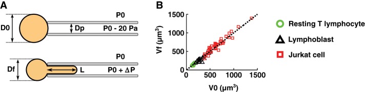 FIGURE 1: