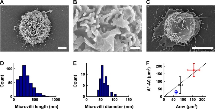 FIGURE 6: