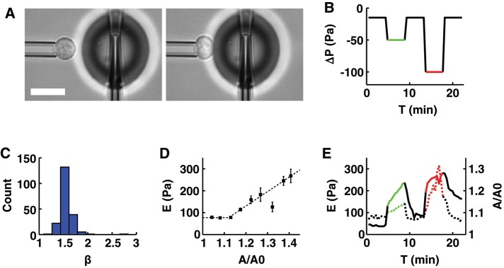 FIGURE 2: