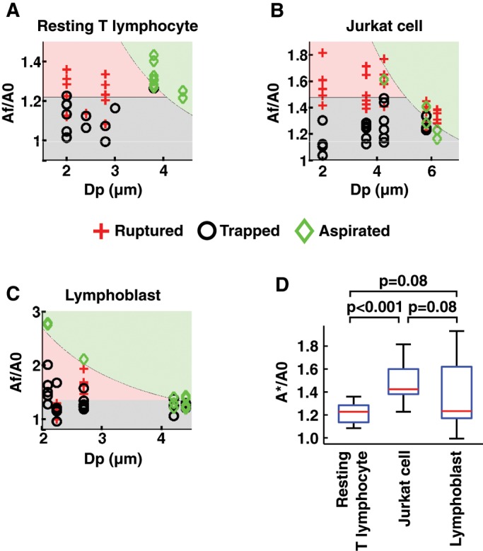 FIGURE 5: