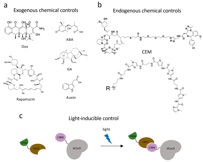 Figure 2