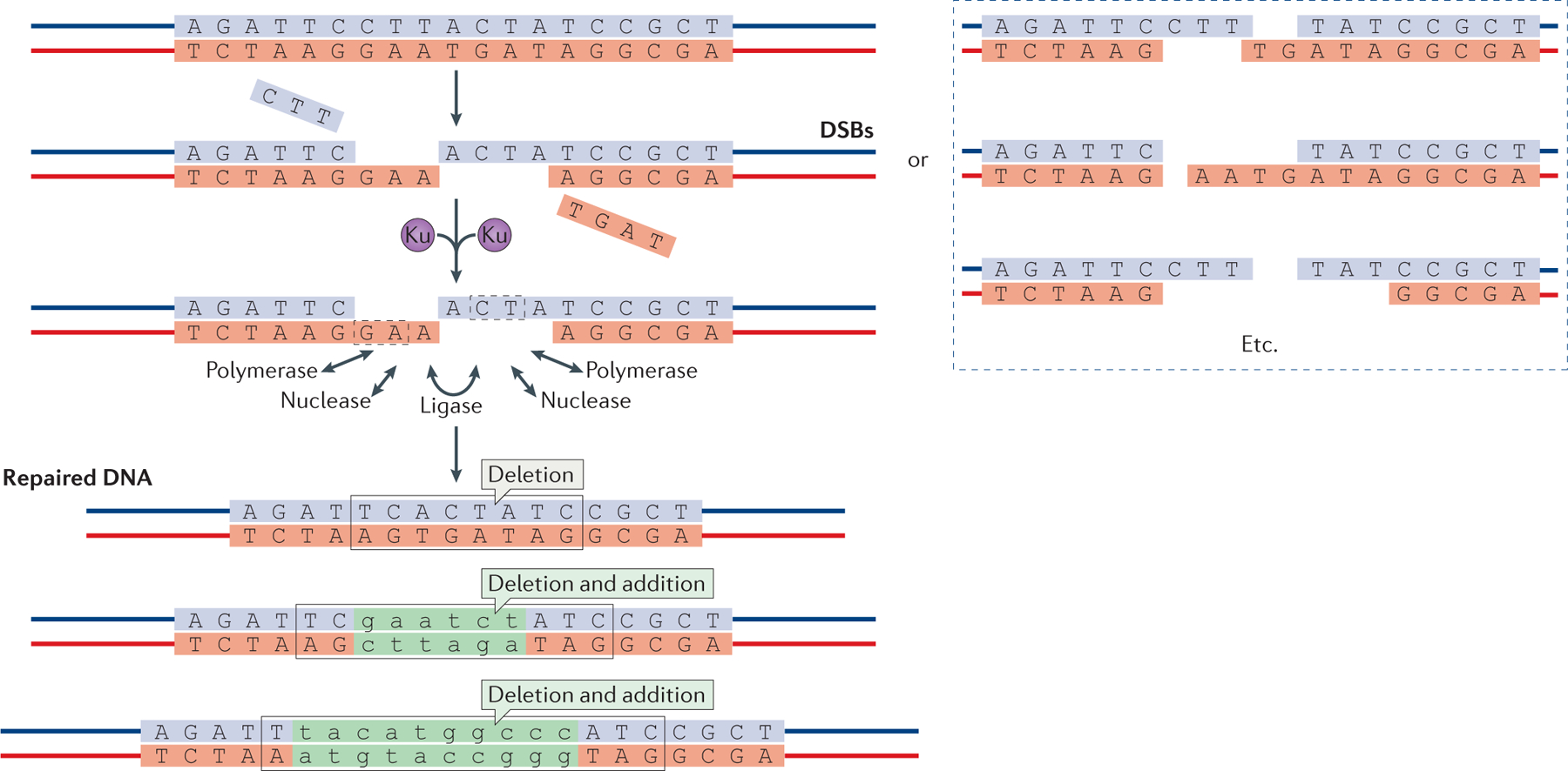 Figure 1 |