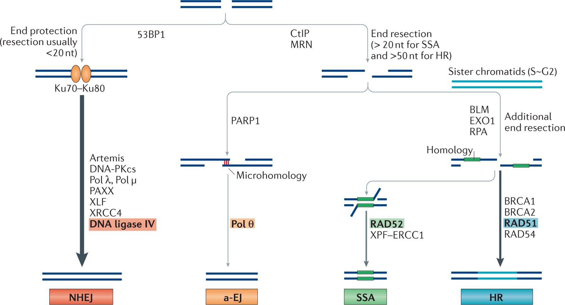 Figure 4 |