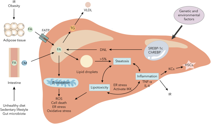 Figure 1